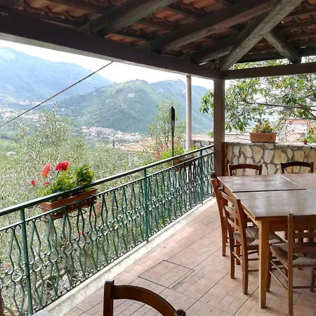 Agriturismo L'uliveto *