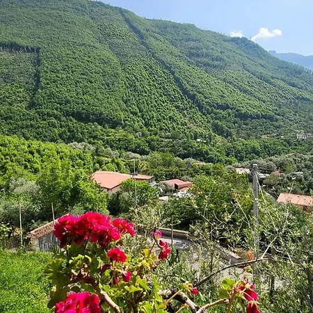 Agriturismo L'uliveto *
